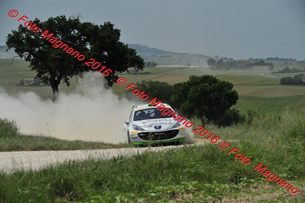 DSC_4772.JPG